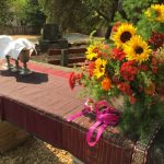 weddings, memorial services, parties, reunions, meetings, beautiful Sonoma county, wine country, redwoods, northern California, non-profit, affordable facility "for rent", youth gathering, wooded lot, gardens, Little Red Cottage, Pre-School, large kitchen, dining room,